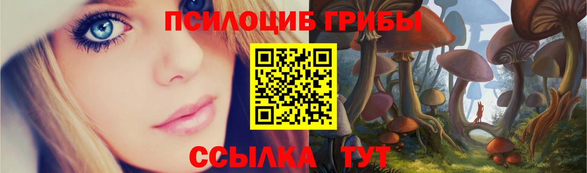 Галлюциногенные грибы ЛСД  закладка  Гусь-Хрустальный  Вход с VPN 
